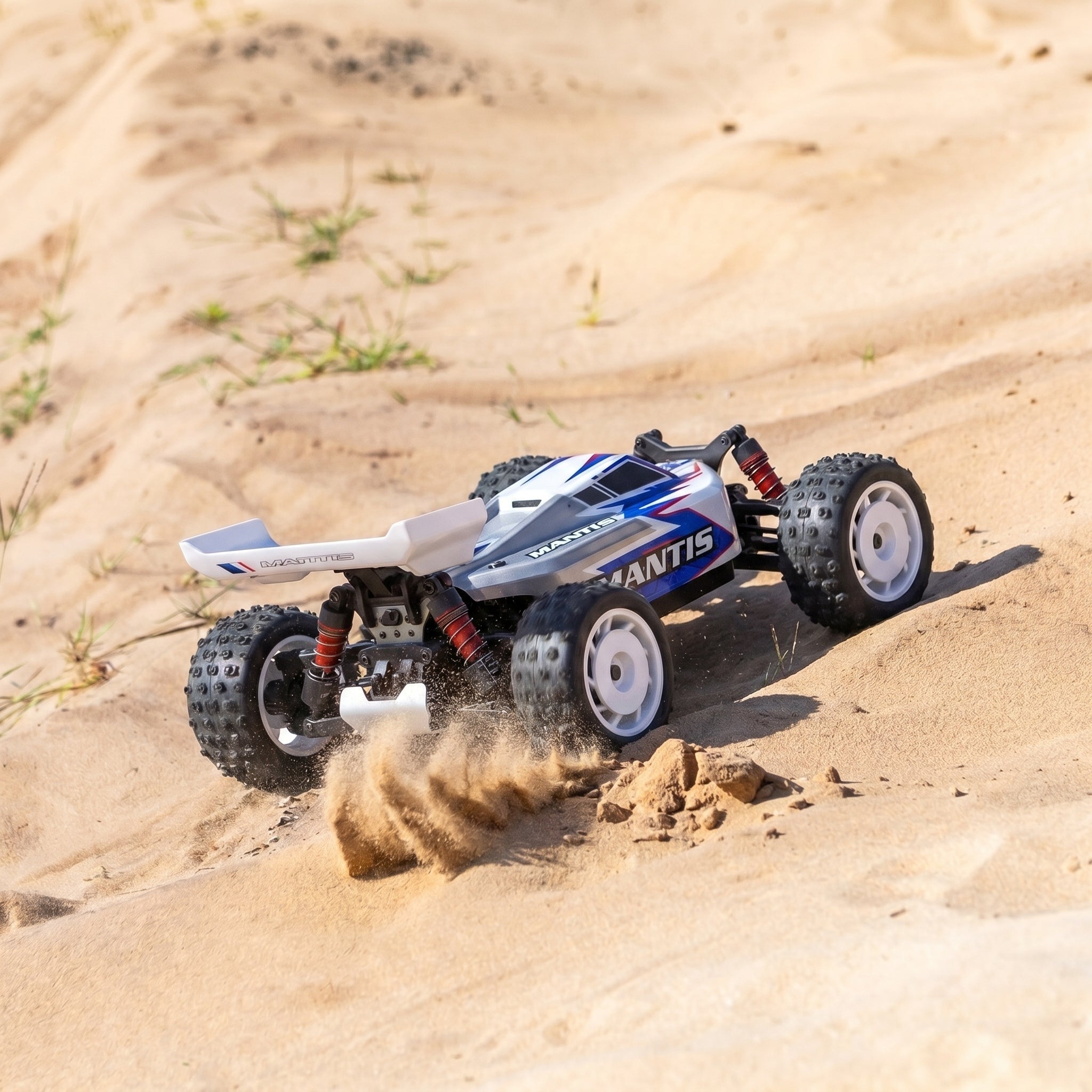 buggy-mantis-voiture-telecommandee-1-16-4wd