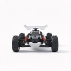 buggy-mantis-voiture-telecommandee-1-16-4wd